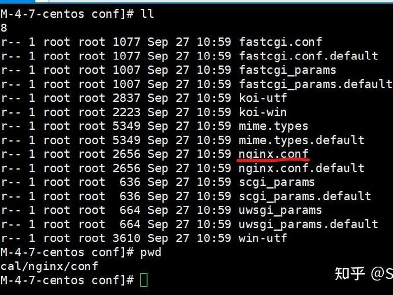 linux查看nginx的版本、linux查看nginx版本命令 linux查看nginx的版本、linux查看nginx版本命令