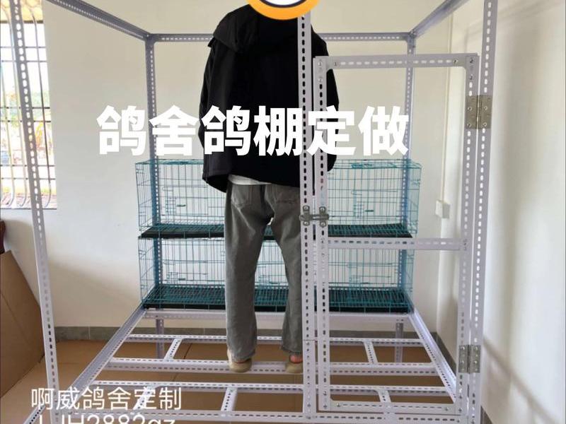 鸽棚怎么建站架视频教程 - 鸽棚怎么建站架视频教程大全 鸽棚怎么建站架视频教程 - 鸽棚怎么建站架视频教程大全