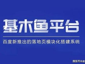 基木鱼平台是干嘛的、基木鱼文娱是什么样的平台