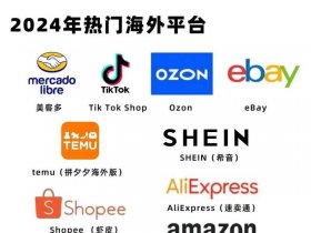 shopbase是什么平台 - shoppers是什么网站