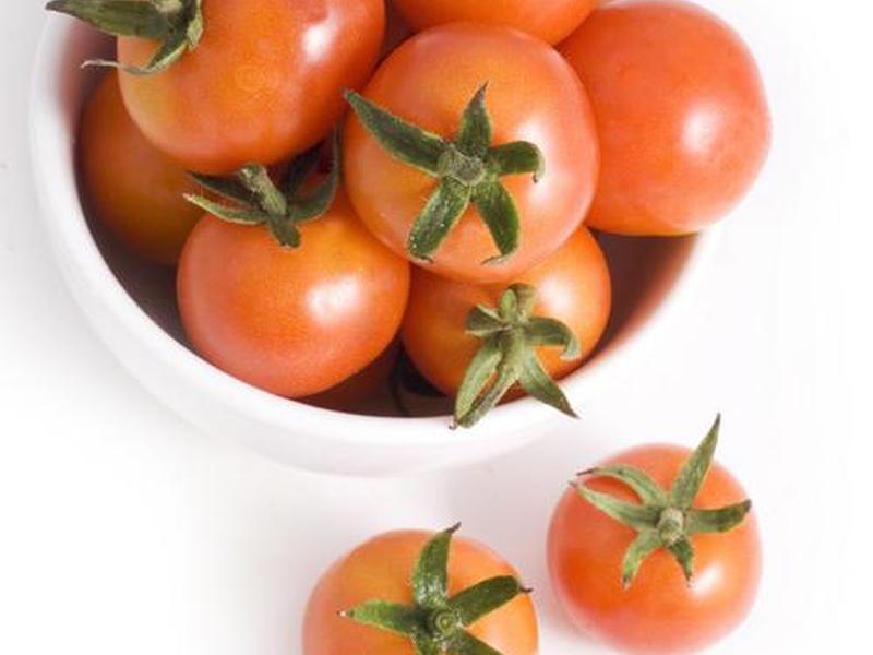 tomato-novel-downloader下载,tomatoes下载 tomato-novel-downloader下载,tomatoes下载
