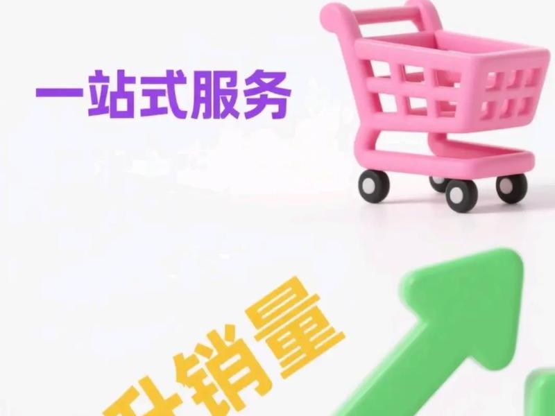 代投专属平台使用教程(代投公司是什么意思) 代投专属平台使用教程(代投公司是什么意思)