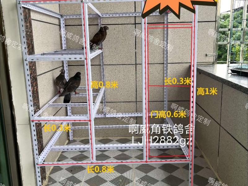 鸽棚建设实用技巧 鸽棚建设实用技巧图解
