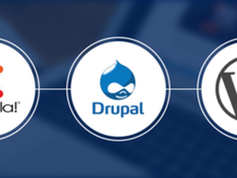 drupal11 drupal11
