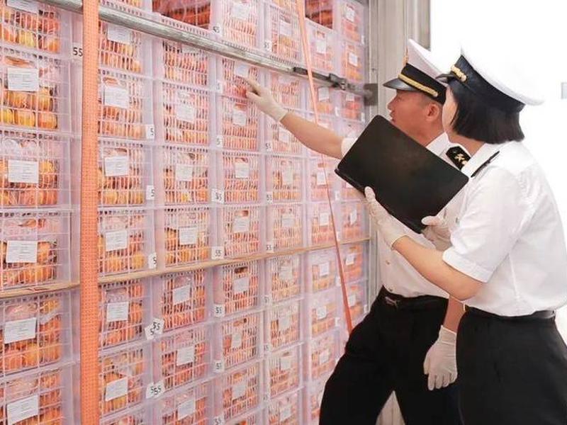 大理外贸出口,大理出口贸易 大理外贸出口,大理出口贸易
