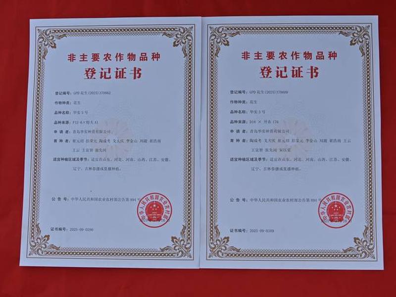 花生壳域名证书获取；花生壳域名ssl证书