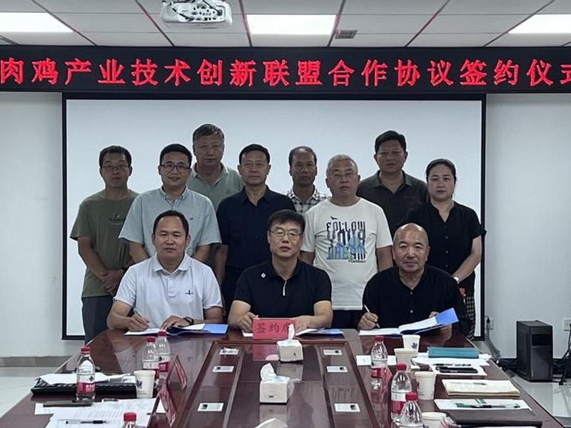 承德企业官网搭建服务(承德企业官网搭建服务电话) 承德企业官网搭建服务(承德企业官网搭建服务电话)