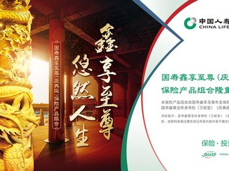 京美建站教程（京美集团的产品组合图）