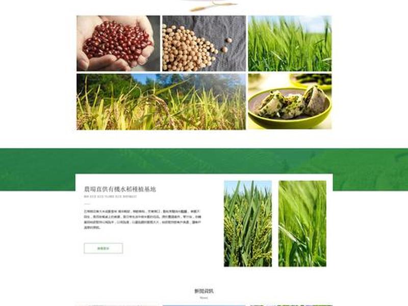 德化信息公开网站、德化信息公开网站首页 德化信息公开网站、德化信息公开网站首页