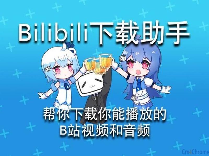 谷歌如何导入b站,谷歌如何导入b站软件 谷歌如何导入b站,谷歌如何导入b站软件
