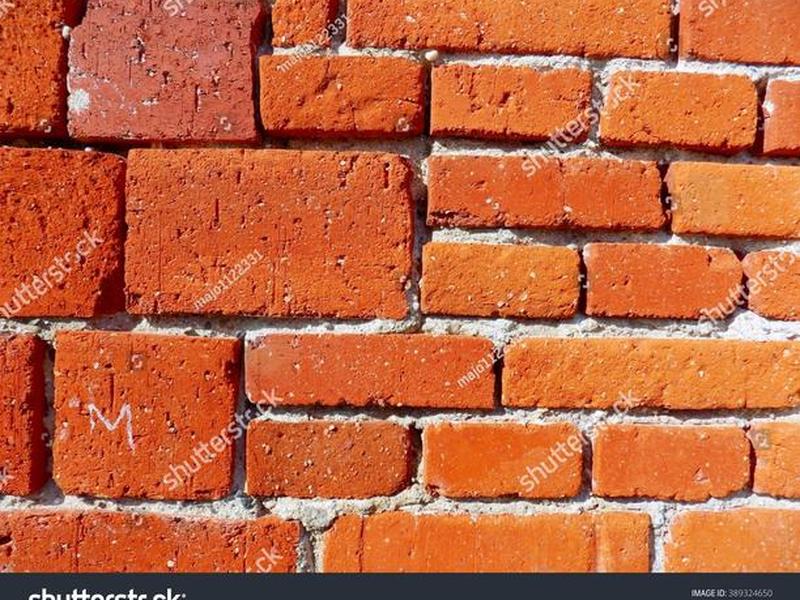 bricks是什么意思 bricks and clicks是什么意思 bricks是什么意思 bricks and clicks是什么意思