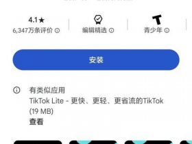 国外wordpress 国外版抖音tiktok下载