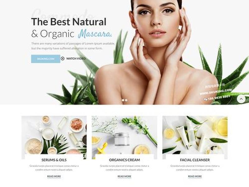 shopify自建站平台的缺点（shopify自建站运营）