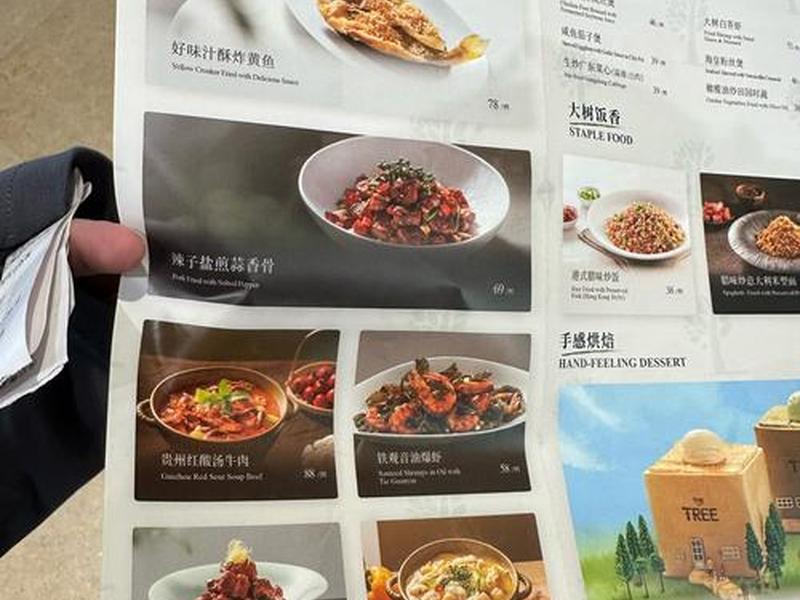 建立站点选择什么菜单,建立站点时需要选择什么菜单 建立站点选择什么菜单,建立站点时需要选择什么菜单