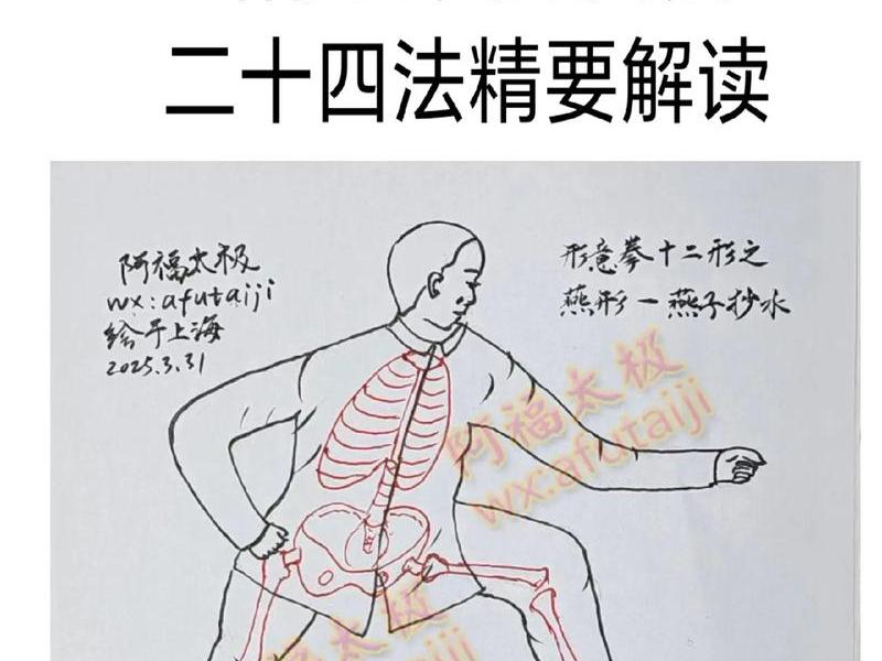 薄家骢意拳站桩入门 薄家骢意拳站桩教学 薄家骢意拳站桩入门 薄家骢意拳站桩教学