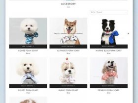 shopify官网入口，shopify官网入口登录