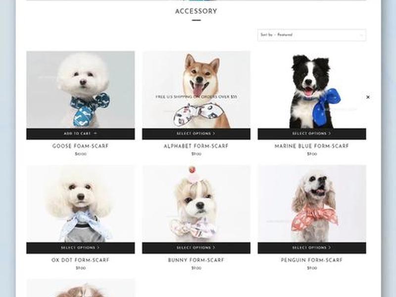shopify官网入口，shopify官网入口登录