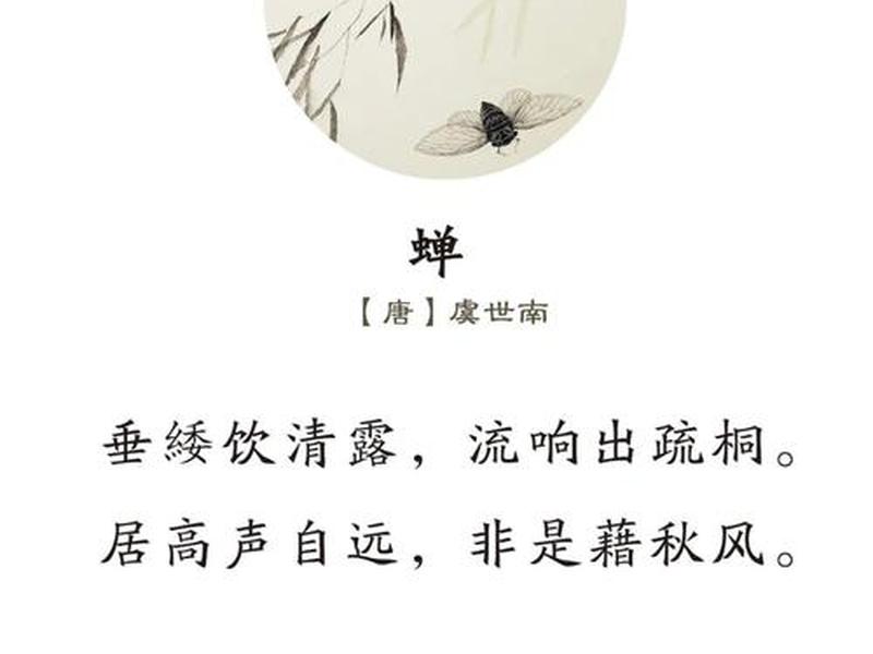 蝉知作品有哪些、蝉的作品 蝉知作品有哪些、蝉的作品
