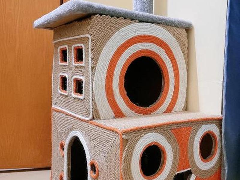 建造猫屋 - 猫屋怎么制造 建造猫屋 - 猫屋怎么制造