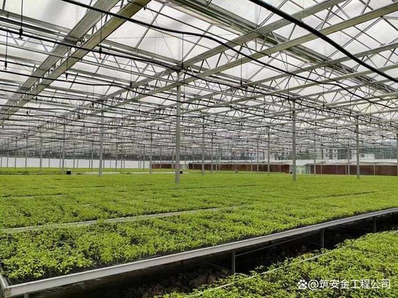 常州智能温室搭建;常州智能温室搭建工程 常州智能温室搭建;常州智能温室搭建工程