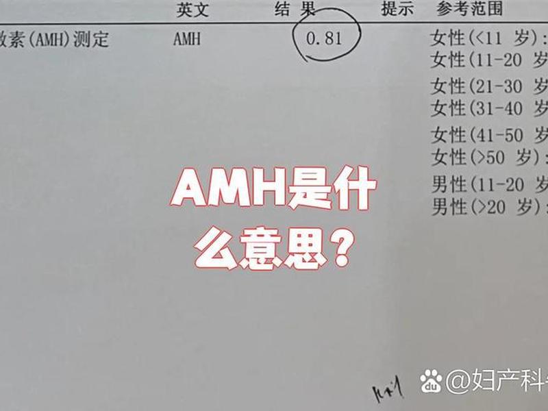 amh检查去医院挂什么科,amh在什么医院可以检查 amh检查去医院挂什么科,amh在什么医院可以检查