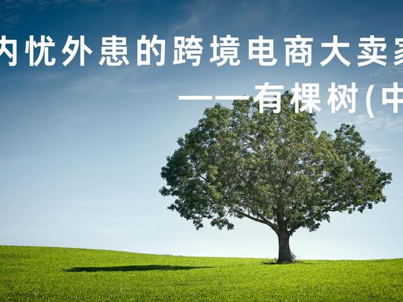 独立站领航 - 独立站2021