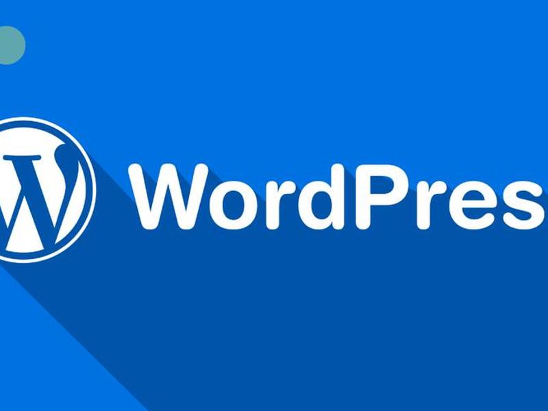 独立站wordpress(独立站wordpress主题) 独立站wordpress(独立站wordpress主题)