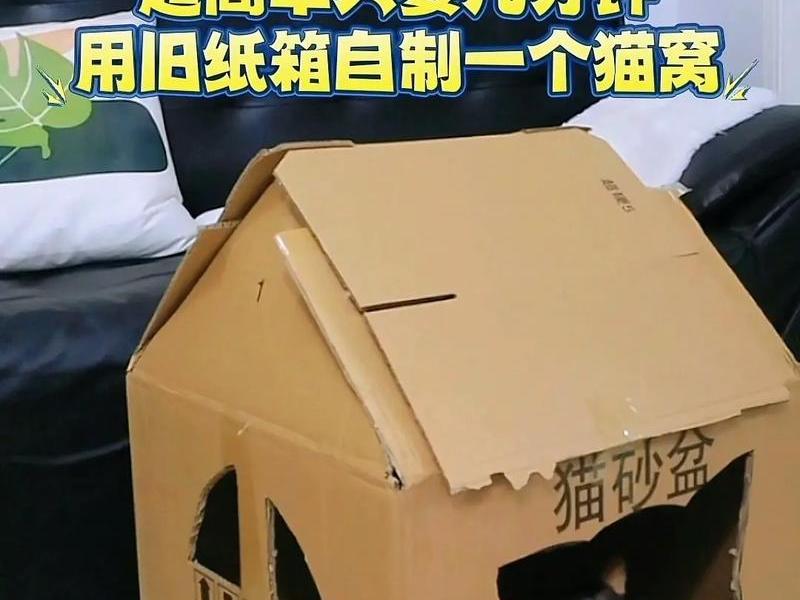 建造猫屋 - 猫屋怎么制造 建造猫屋 - 猫屋怎么制造