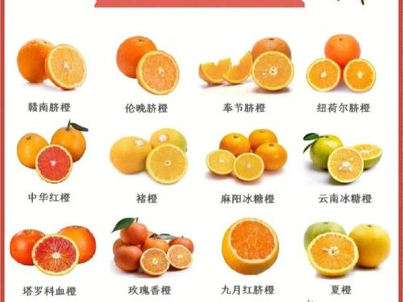 橙子落地页是什么（橙子落地页是什么意思）
