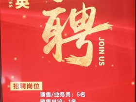 东莞建站公司 - 东莞建站公司招聘信息