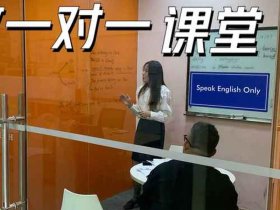 vip视频教学，vip教学培训视频