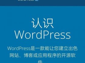 wordpress电商建站步骤（wordpress建电商网站）