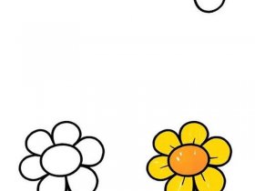 初学者简笔画、初学者简笔画花