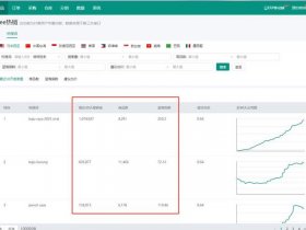shopex网上商店系统官网（电商平台shopee官网）
