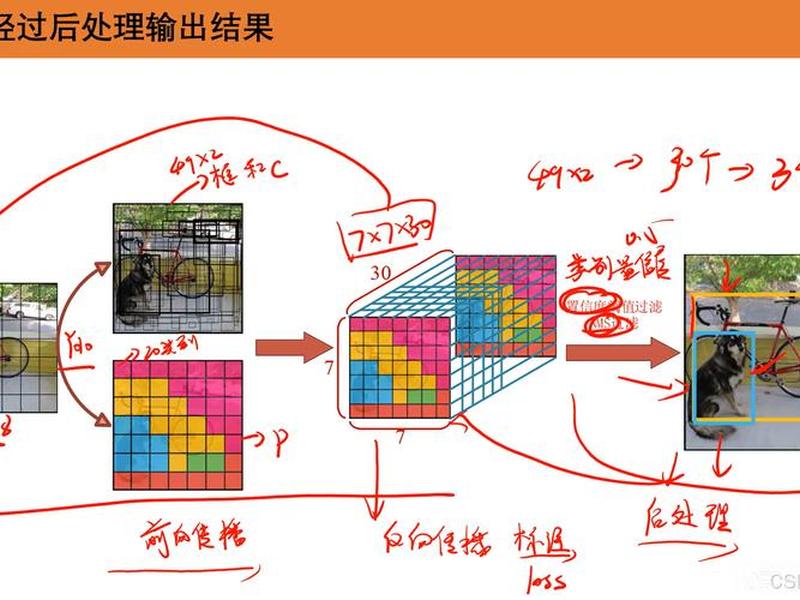yolo开发板实战教程；yolo实战视频教程