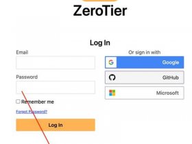 zerotier组建局域网 - zerotier 局域网