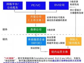vie搭建；VIE搭建是什么