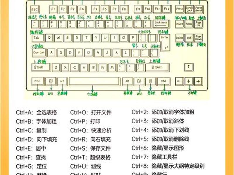 excel建立表格步骤、excel建立表格的操作步骤 excel建立表格步骤、excel建立表格的操作步骤