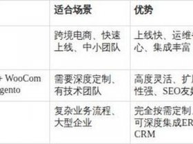 seo建站需要购买什么，seo建站需要购买什么产品