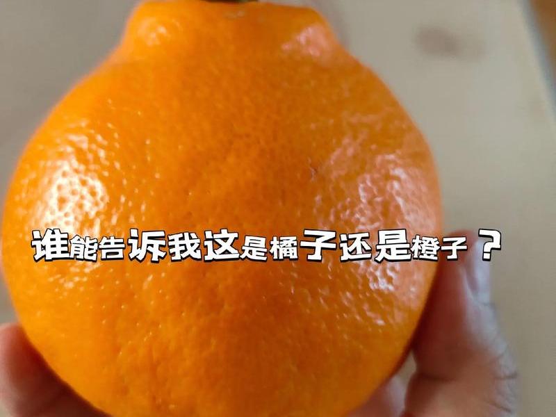 橘子建站和抖音怎么设置、橘子建站抖音收费 橘子建站和抖音怎么设置、橘子建站抖音收费