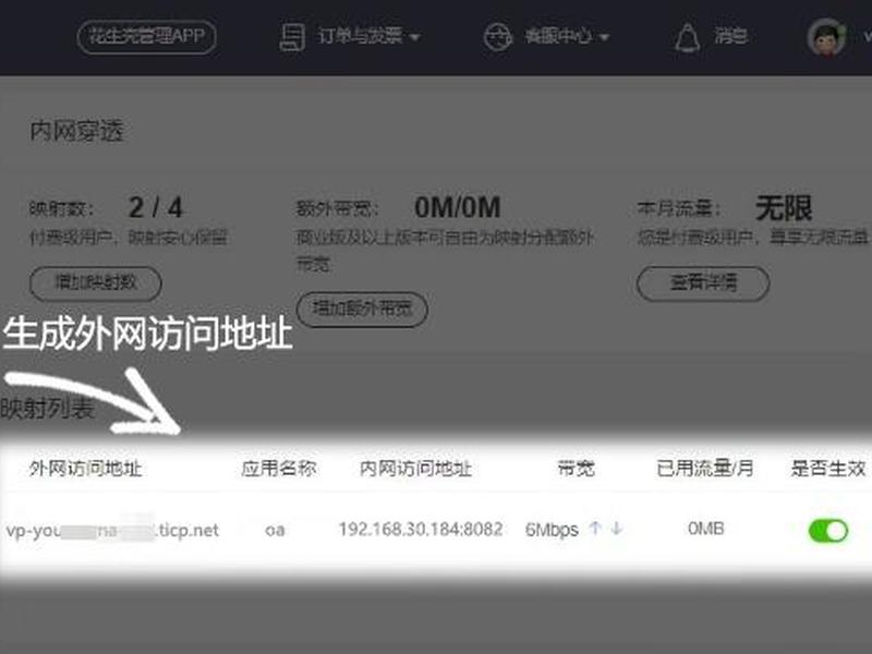 花生壳部署oa用什么协议，花生壳部署网站