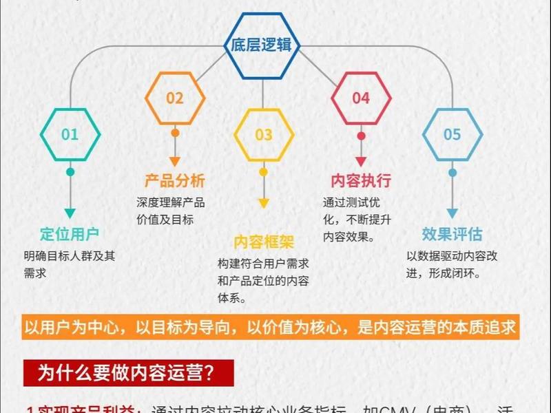 公司独立站运营（公司独立站运营管理方案）