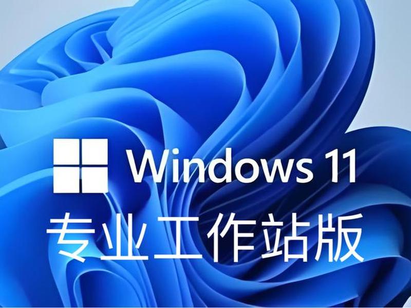 window11工作站版 windows11工作站精简版 window11工作站版 windows11工作站精简版