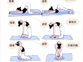 告别零基础教学、告别零基础教学视频