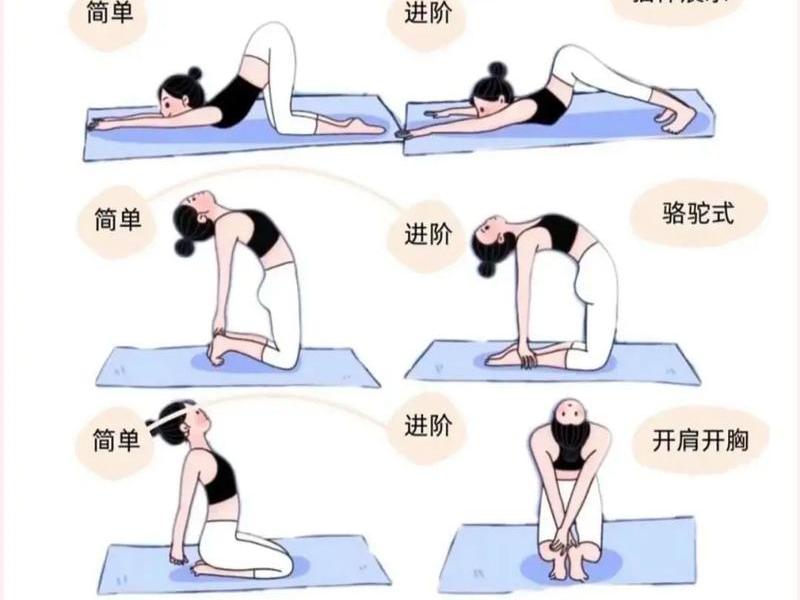 告别零基础教学、告别零基础教学视频
