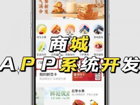 多商户系统商城开发、多商户商城小程序开发