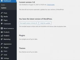 wordpress建站教程jiuyou - wordpress建站教程入门