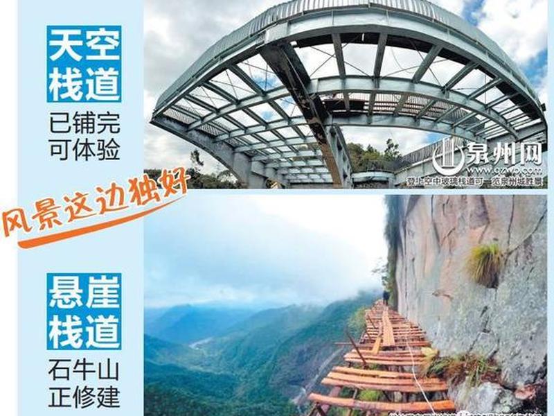 德化建网站、德化建设局官网