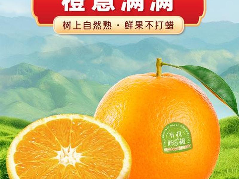 橙子建站广告投放中危行业;橙子建站广告怎么投放 橙子建站广告投放中危行业;橙子建站广告怎么投放
