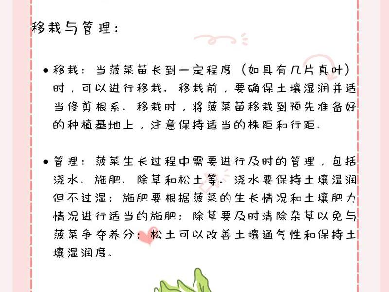 菠菜整地技巧 菠菜整地技巧视频 菠菜整地技巧 菠菜整地技巧视频
